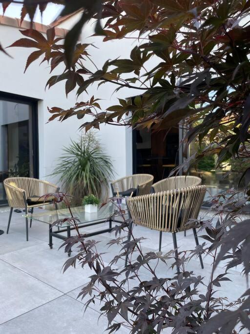 Villa Moderne Avec Piscine 알비 외부 사진