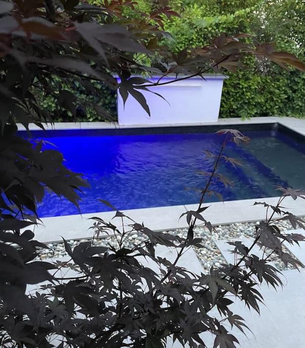 Villa Moderne Avec Piscine 알비 외부 사진